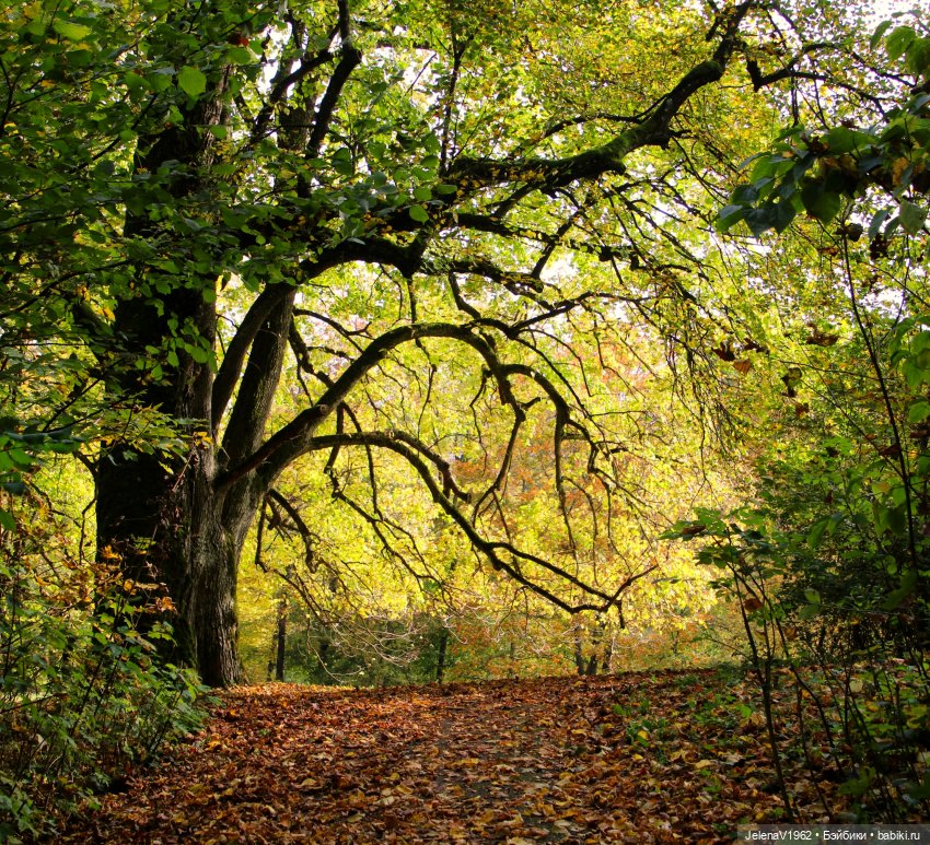 Ох, уж эти Мийки — Куклы Nines d'Onil (Нинес): Миа (Mia)