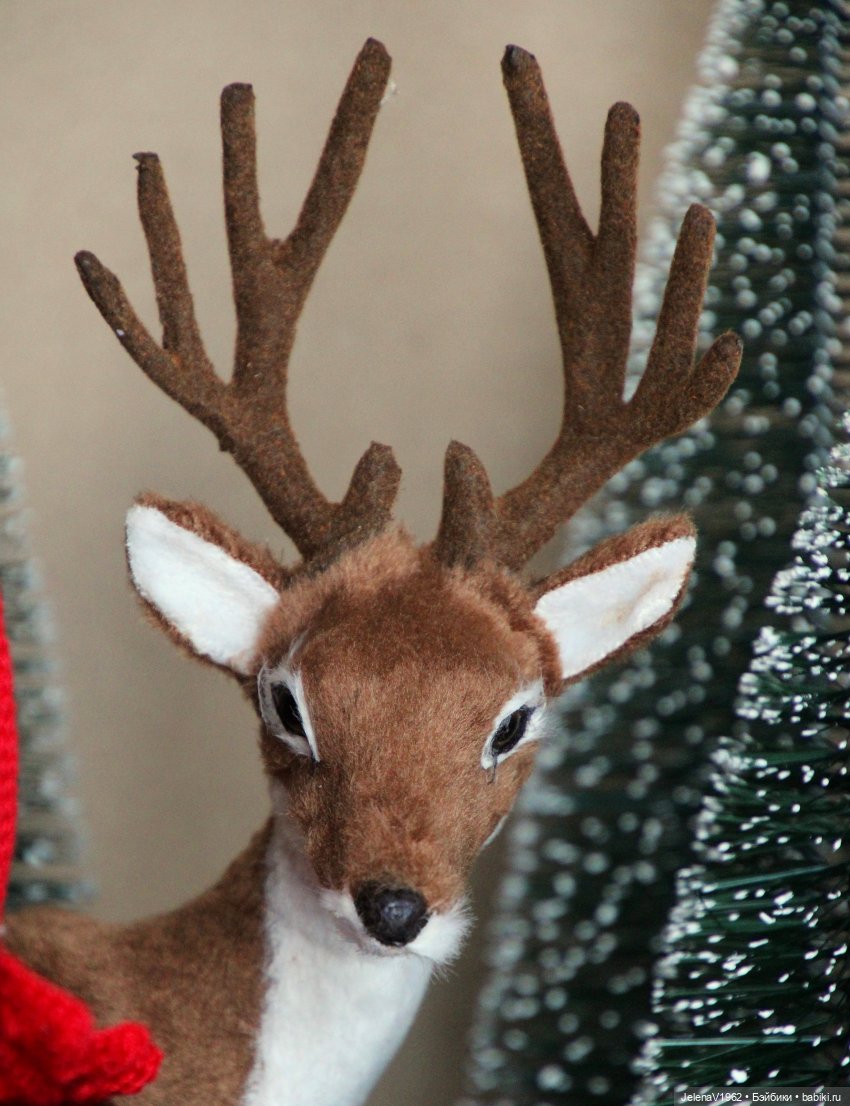 Если веришь, сказка оживёт! Или осенняя цветотерапия