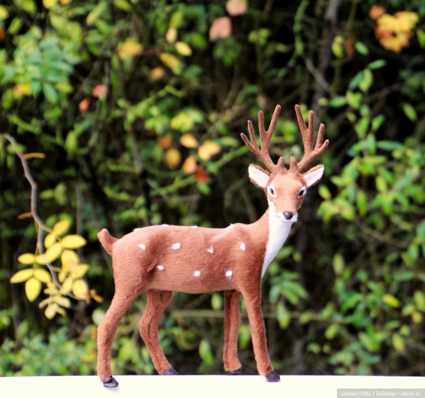 Если веришь, сказка оживёт! Или осенняя цветотерапия