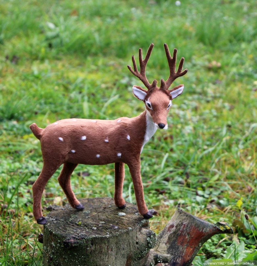 Если веришь, сказка оживёт! Или осенняя цветотерапия