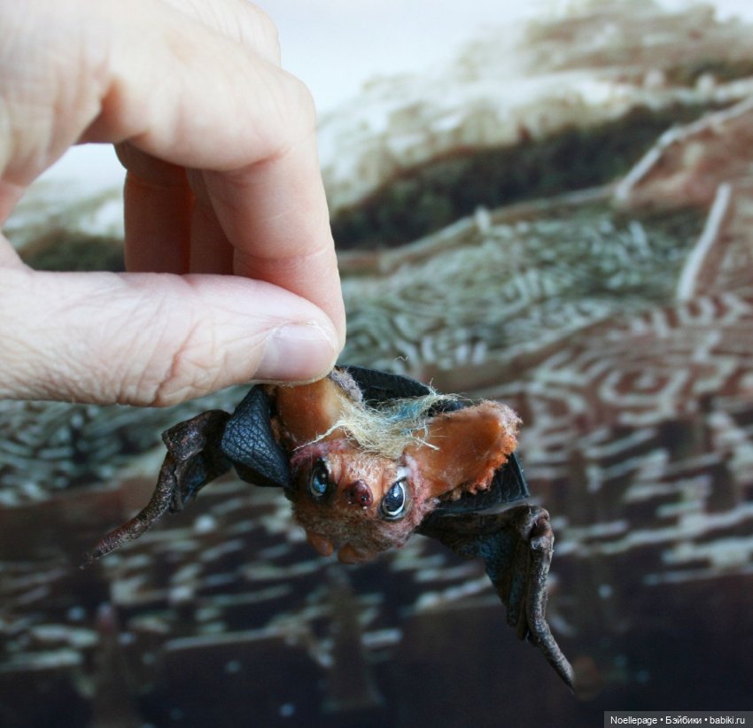 Герои кино в виде летучих мышей (фото 3)