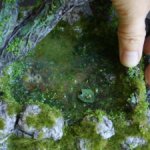 Призрак Офелии.