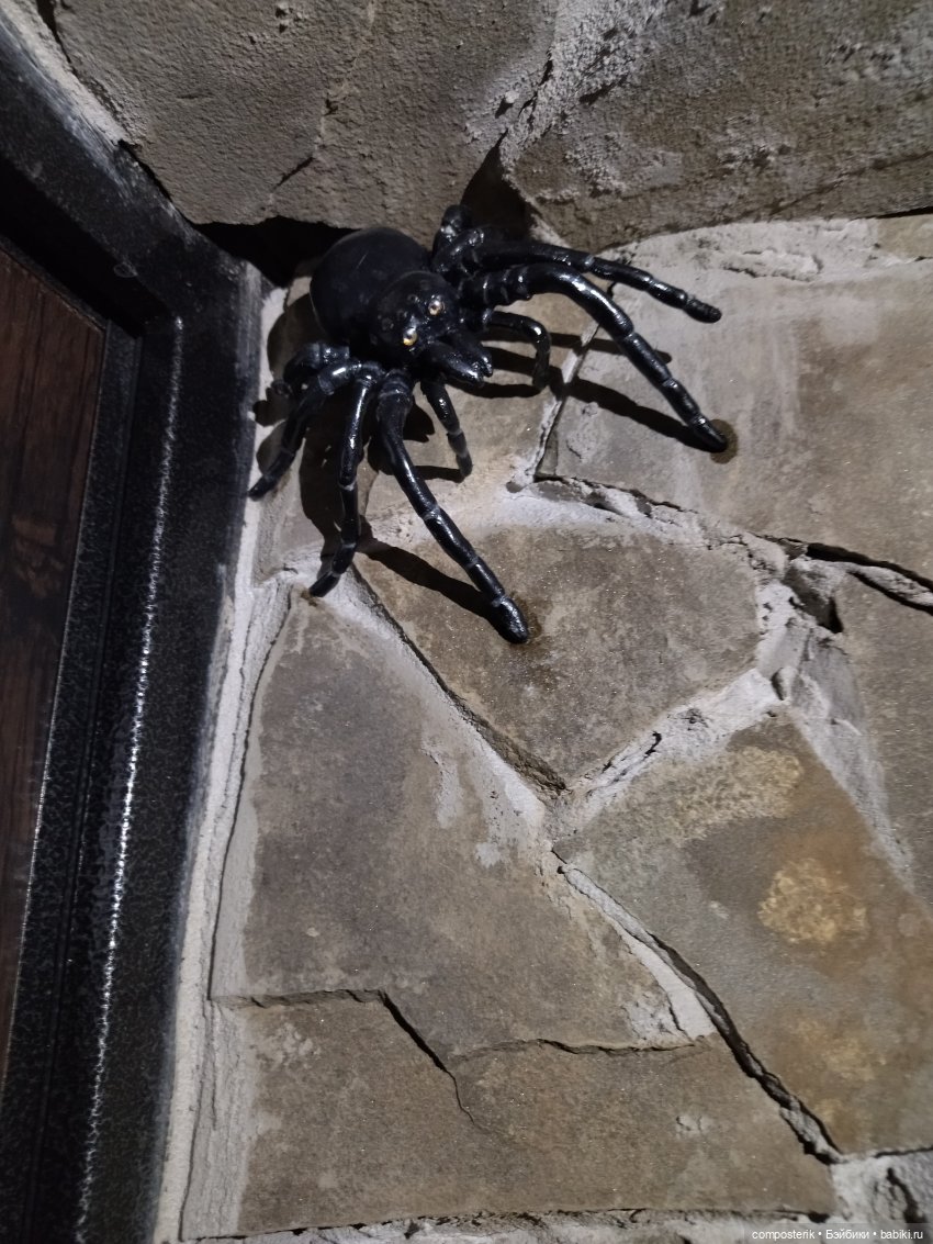 Паук по имени Жорик — Лепка авторских игрушек и папье (фото 6)