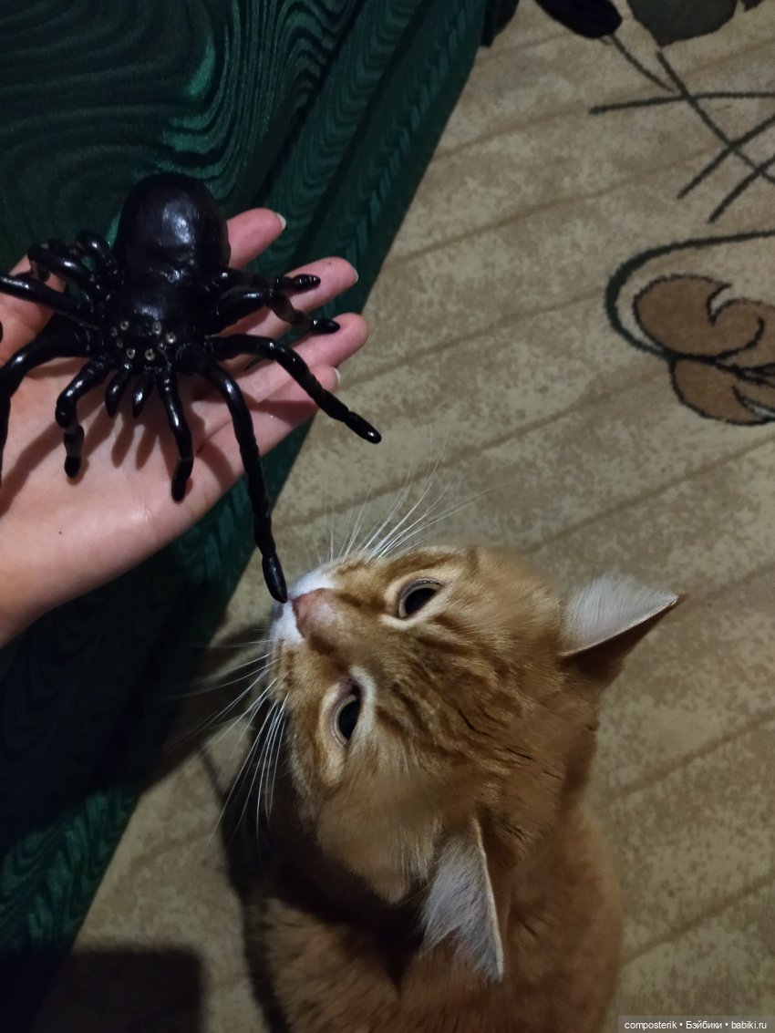 Паук по имени Жорик — Лепка авторских игрушек и папье