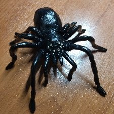 Паук по имени Жорик