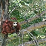 Мини кукла Пуллип