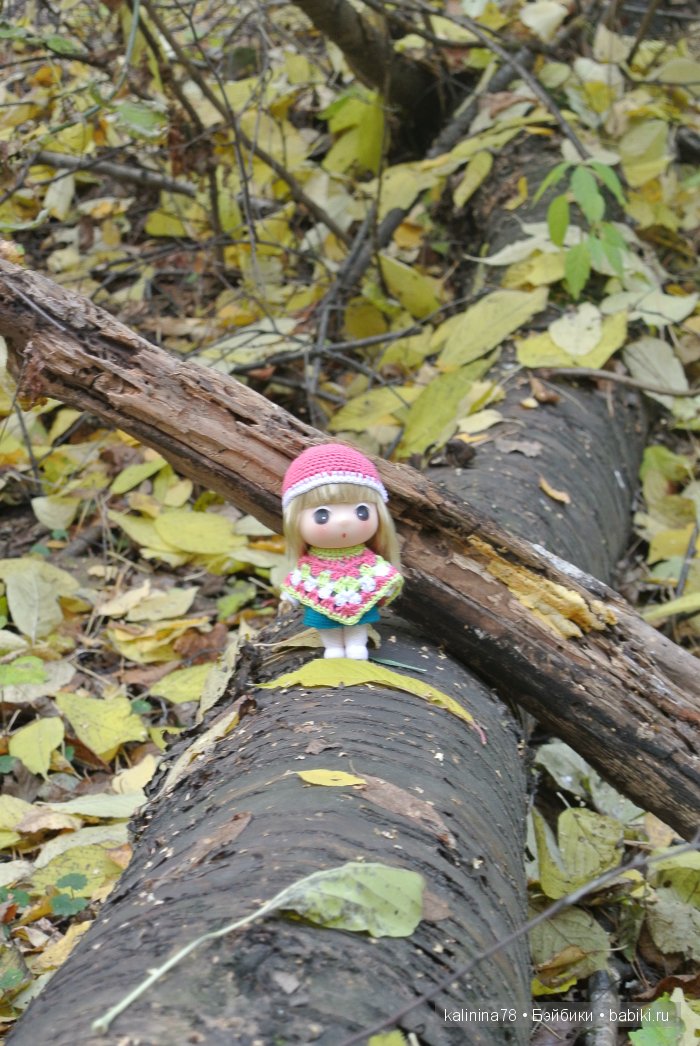 Осенняя прогулка с Дданг — Куклы Ddung (Дданг): Корейские пупсы (фото 3)
