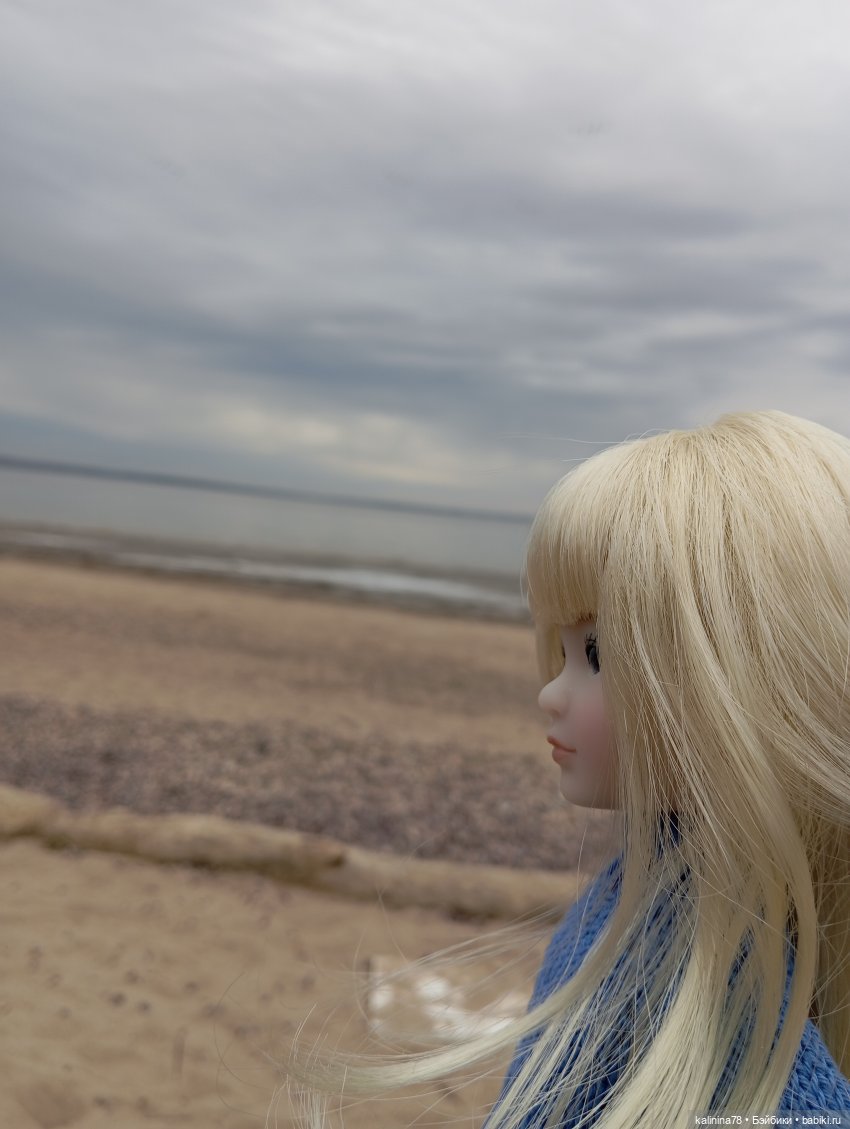 Прогулки с рубиночками — Куклы Ruby Red (Руби Ред) Fashion Friends: Siblies (фото 8)