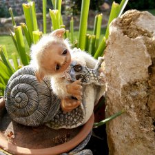 Путешествие по Германии или Шкрябик в естественной среде