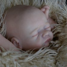 Малышка из молда Ember скоро родится/ Первые фото