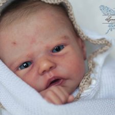 Приехал молдик Robin Awake By Nikki Johnston. Видео распаковка