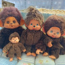 Большое семейство Мончичи