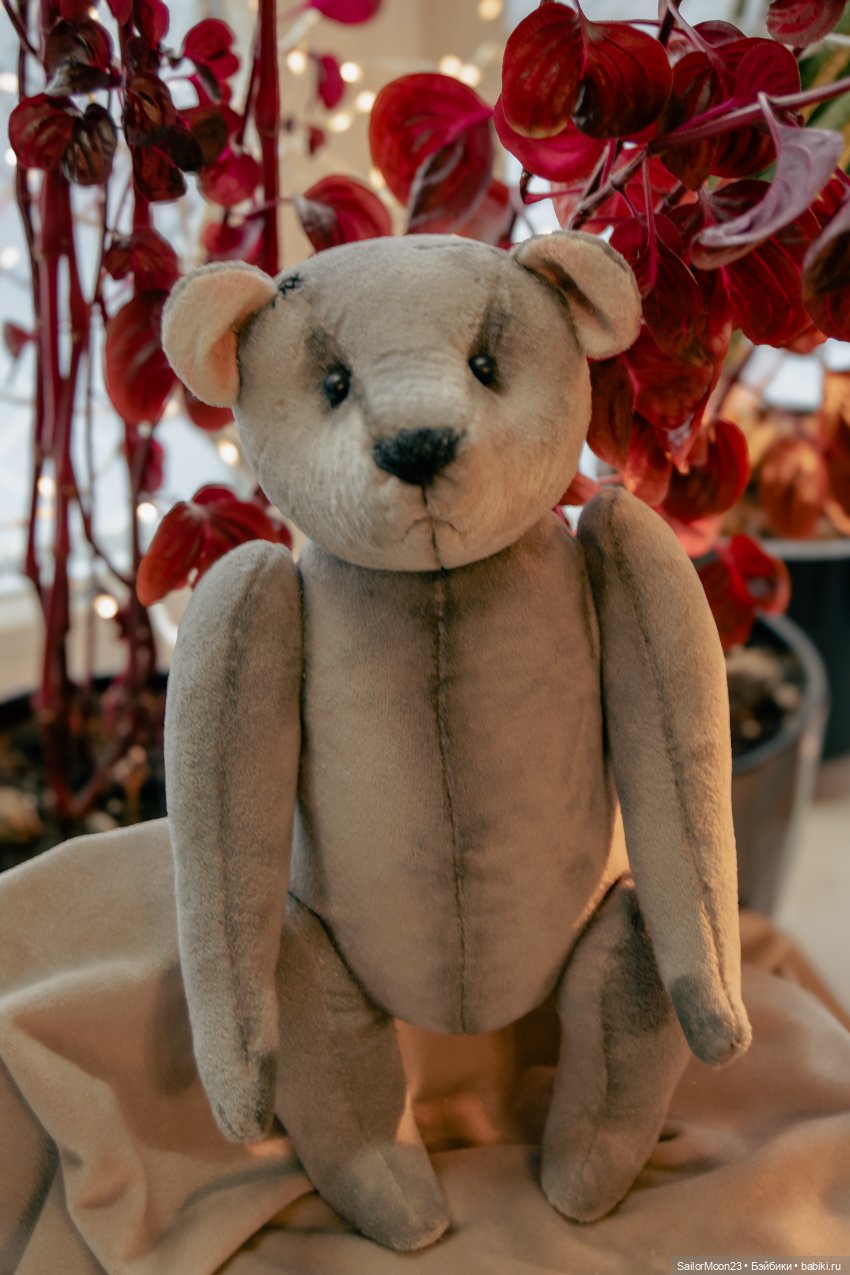 Ёсик и Серафима — Авторские мишки Тедди и друзья: фото (фото 6)