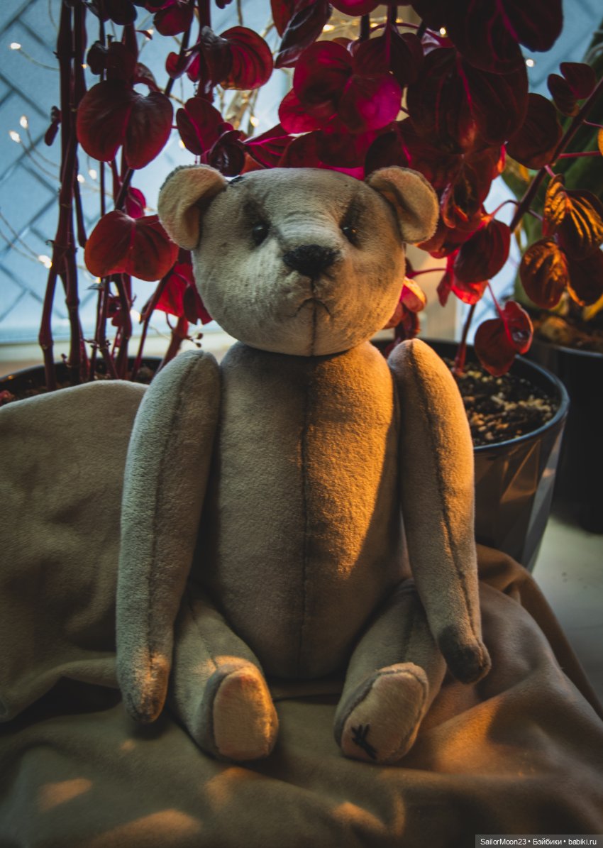 Ёсик и Серафима — Авторские мишки Тедди и друзья: фото (фото 5)