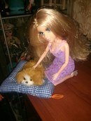 Мне понравилось3 — Одежда и обувь для кукол своими руками: фото (фото 2)