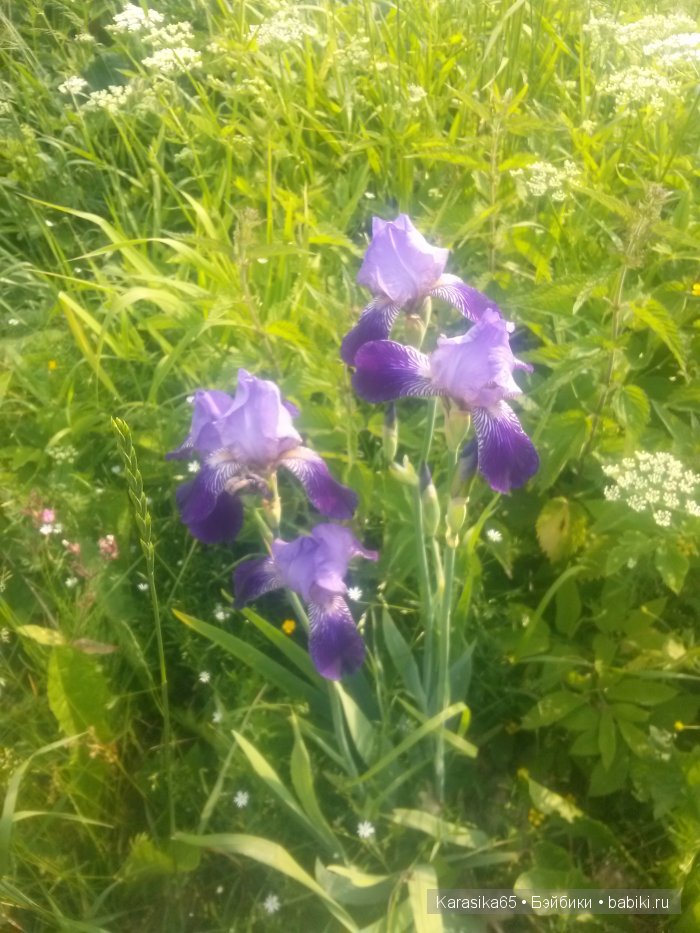 Летний Ажур для Леры и — Одежда и обувь для кукол своими руками: фото (фото 9)