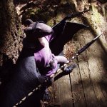 Крысификация, часть вторая