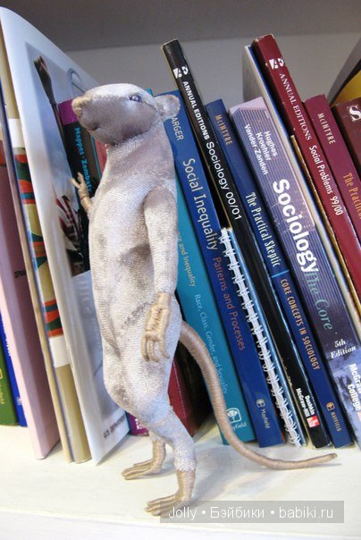 Крысификация продолжается (фото 10)