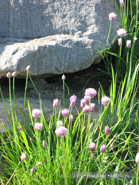 Китайский чеснок и камни. Авторская кукла ручной работы (фото 2)