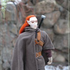 Охотник на огров