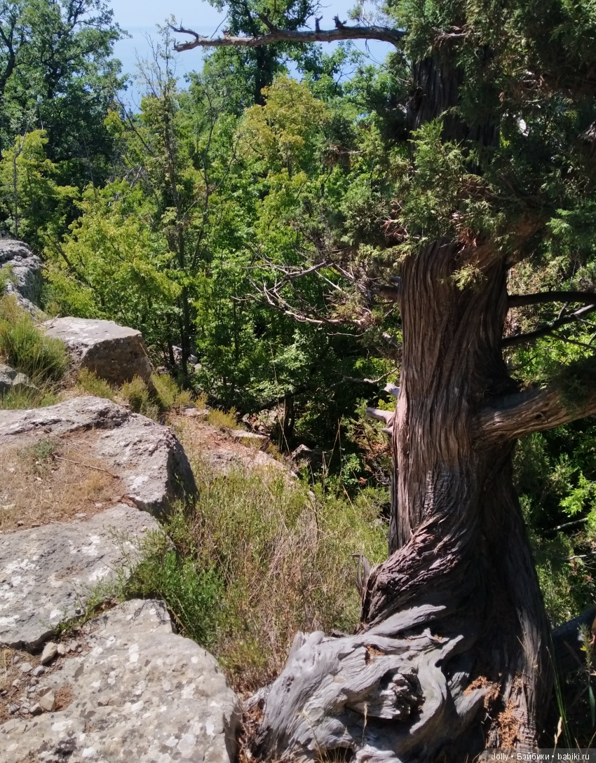 Отпуск темного властелина (фото 5)