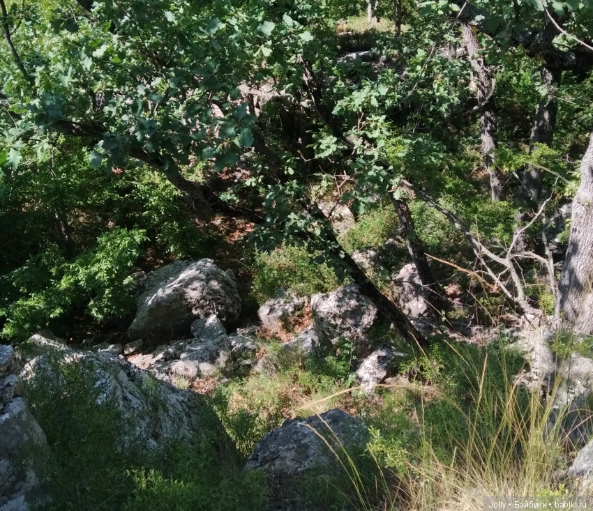 Отпуск темного властелина (фото 6)