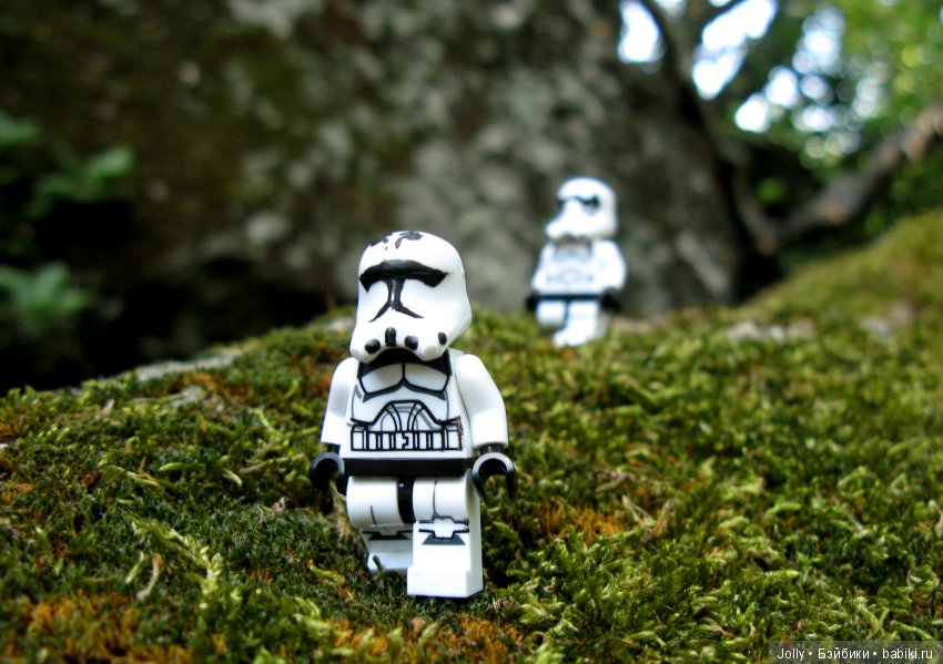 Мелкие удовольствия и страхи (фото 8)