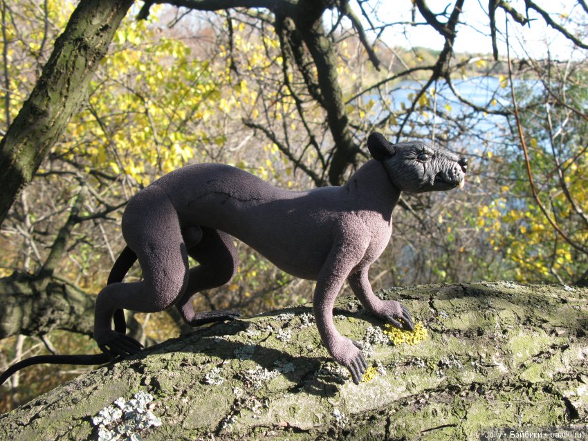 Лето, увы, прошло, и осени реет стяг (фото 6)