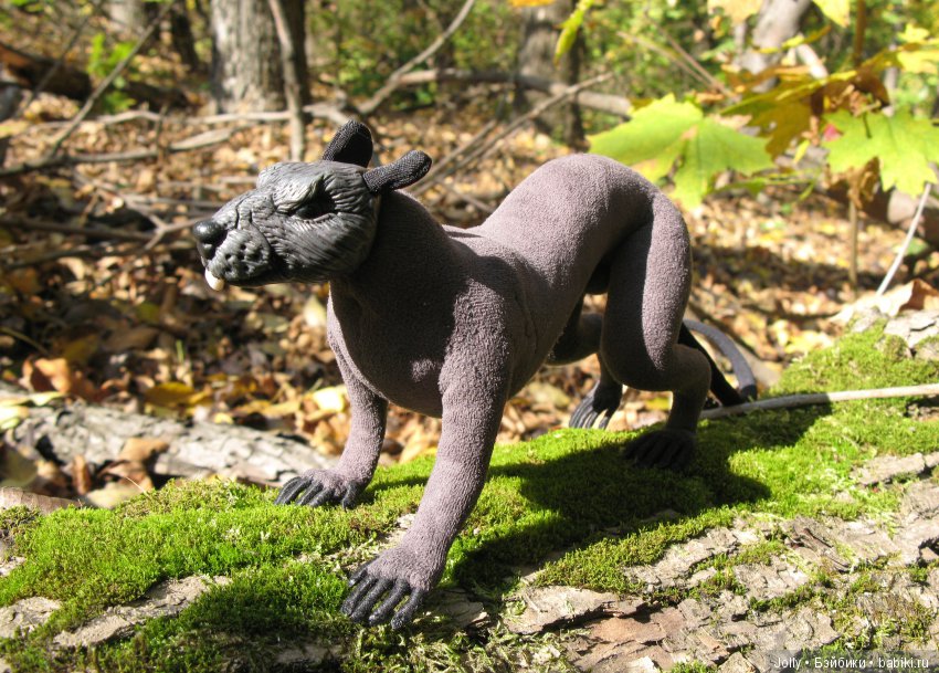 Лето, увы, прошло, и осени реет стяг (фото 7)