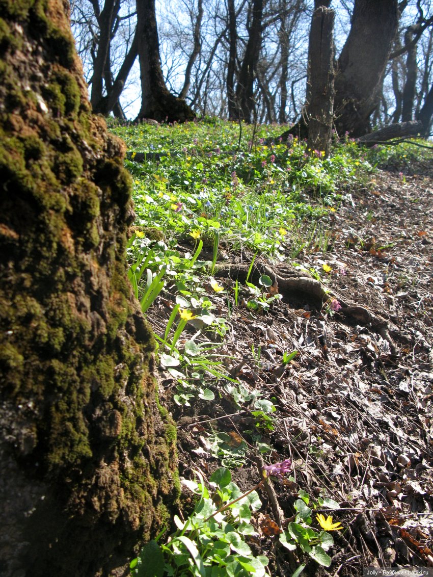Ранняя весна в лесу — Авторские куклы ручной работы: текстильные (фото 4)