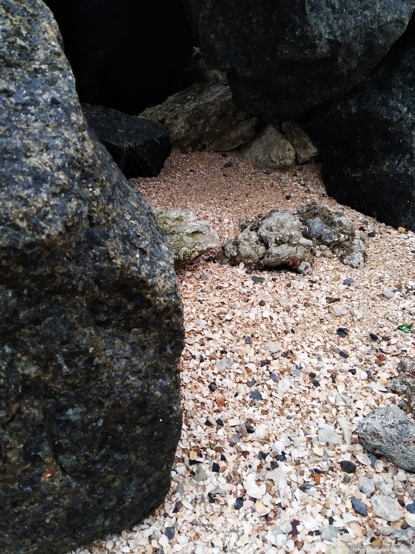 Сорним, Очаровывающий Сердце (фото 4)