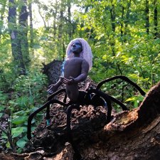 Маленький паучок в большом лесу