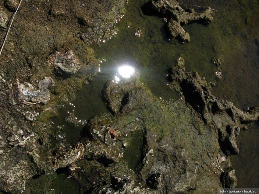 Странное место — Авторские работы в частных коллекциях: домашние фото кукол и игрушек (фото 4)