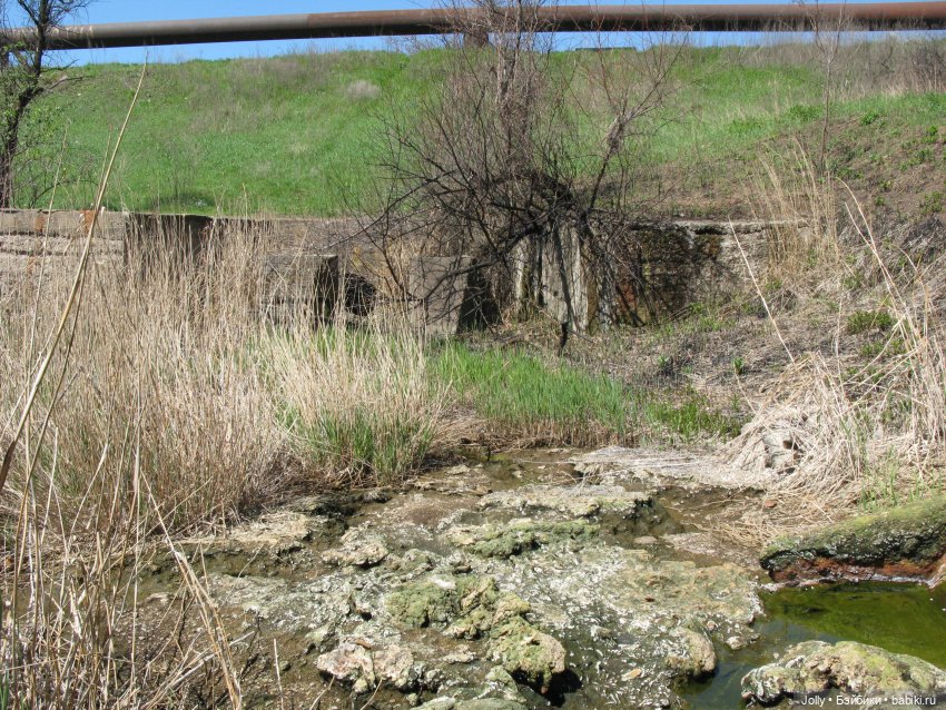 Странное место — Авторские работы в частных коллекциях: домашние фото кукол и игрушек