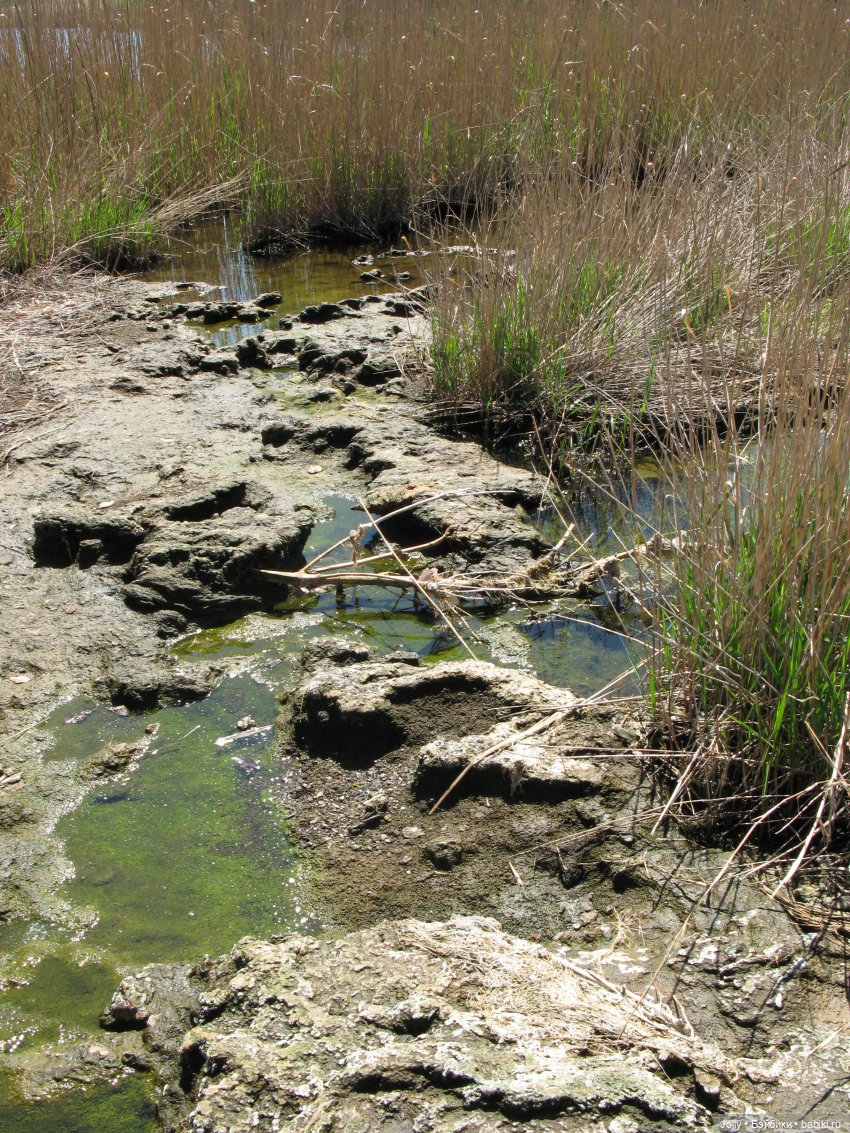 Странное место — Авторские работы в частных коллекциях: домашние фото кукол и игрушек (фото 2)