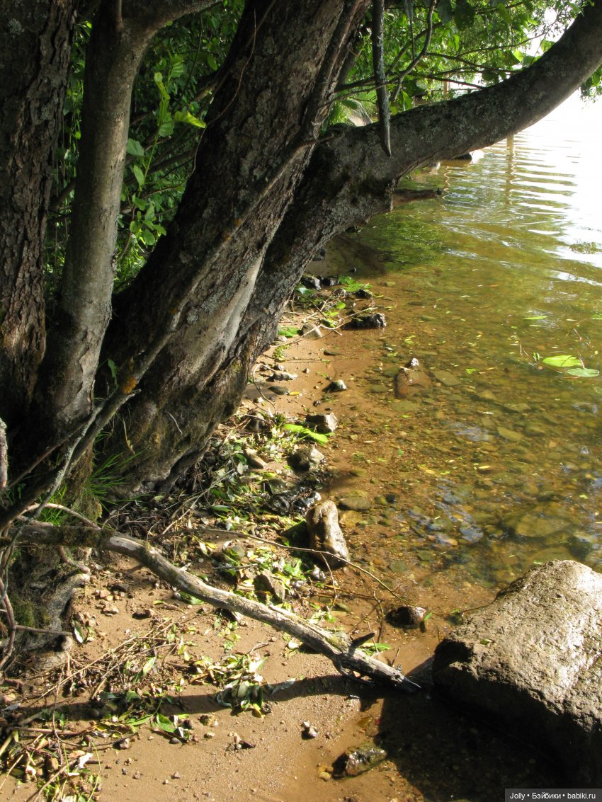Эльфские странствия — Лепка авторских кукол: полимерная глина (фото 4)