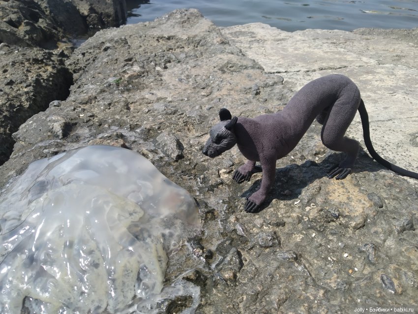 Человек, Охотник и ящерка (фото 2)