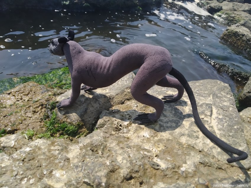 Человек, Охотник и ящерка (фото 4)