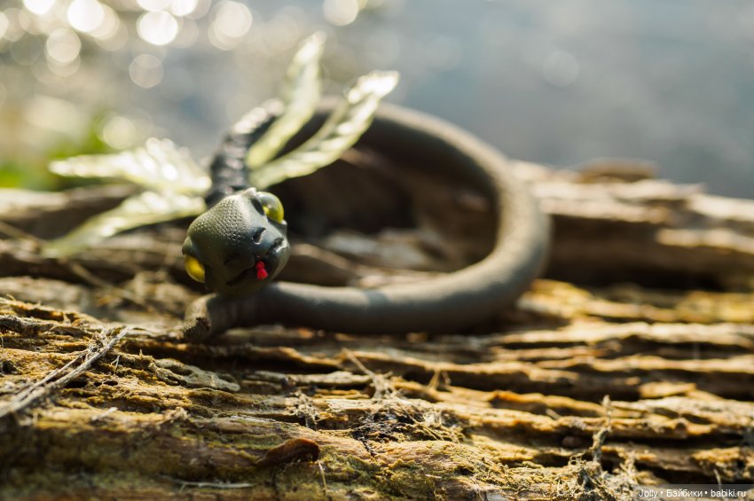 Герои меча и магии: из болота (фото 3)