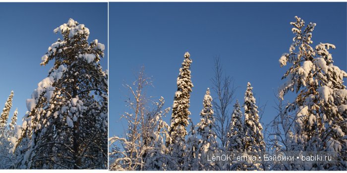 LenOK_emVa LenOK_emVa