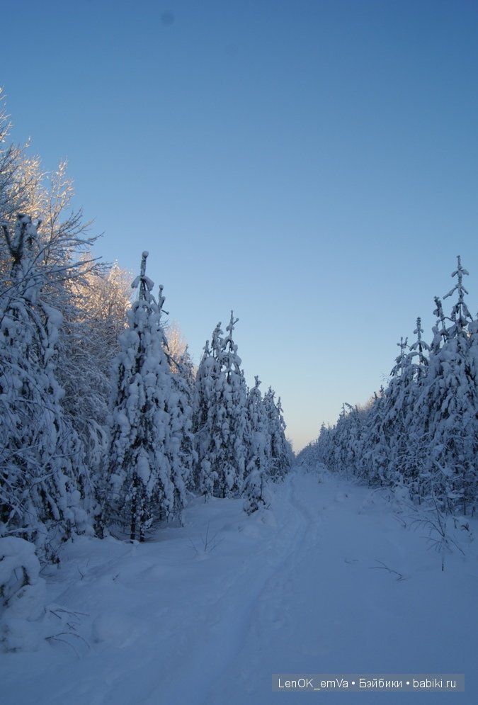 LenOK_emVa LenOK_emVa