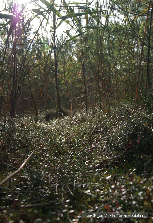 LenOK_emVa_ручная работа