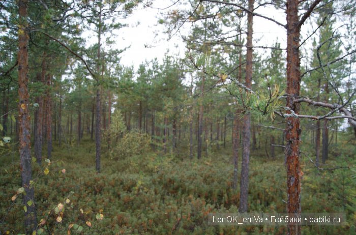 LenOK_emVa_ручная работа