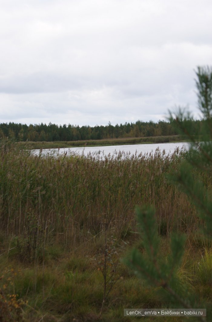 LenOK_emVa_ручная работа