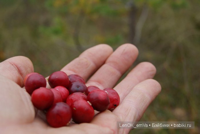 LenOK_emVa_ручная работа