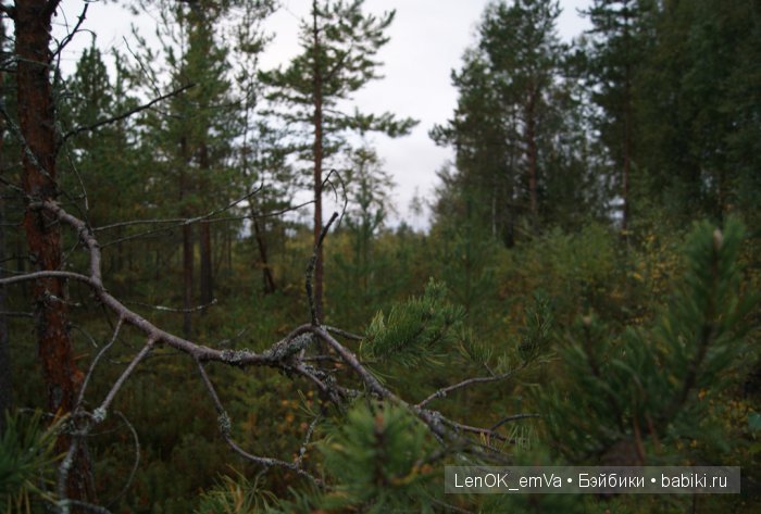 LenOK_emVa_ручная работа