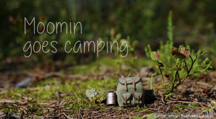 moomin goes camping