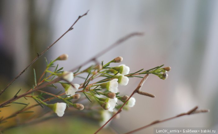 LenOK_emVa_ручная работа