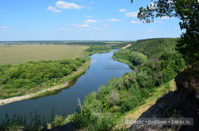 Воспоминания о лете с Адорочкой-тыковкой (фото 2)