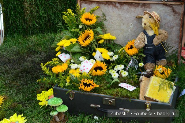 Воронеж-город сад!И немного капустки)